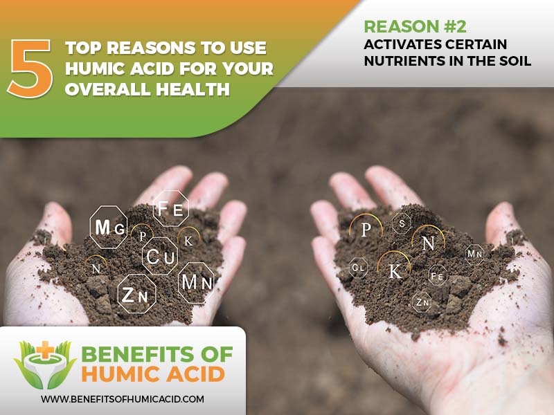 health benefits of humic acid