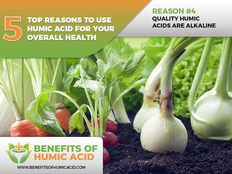  the importance of humic acid