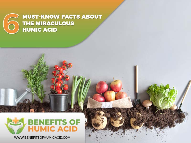  things to know about humic acid, humic acid must-know facts