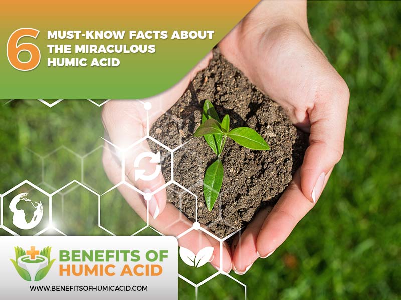 facts about humic acid