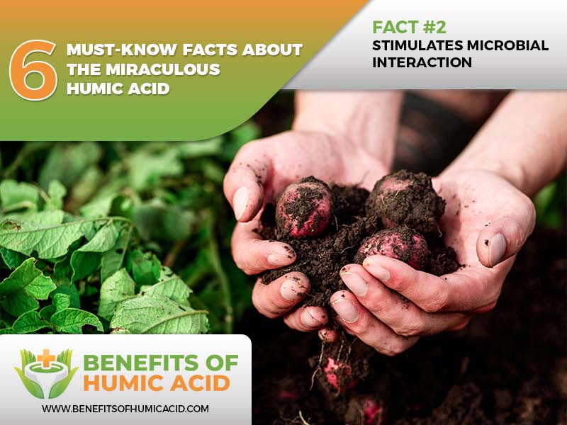 facts about humic acid
