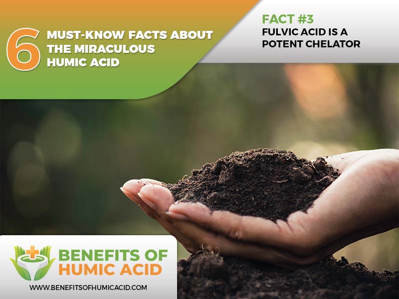  things to know about humic acid, humic acid must-know facts