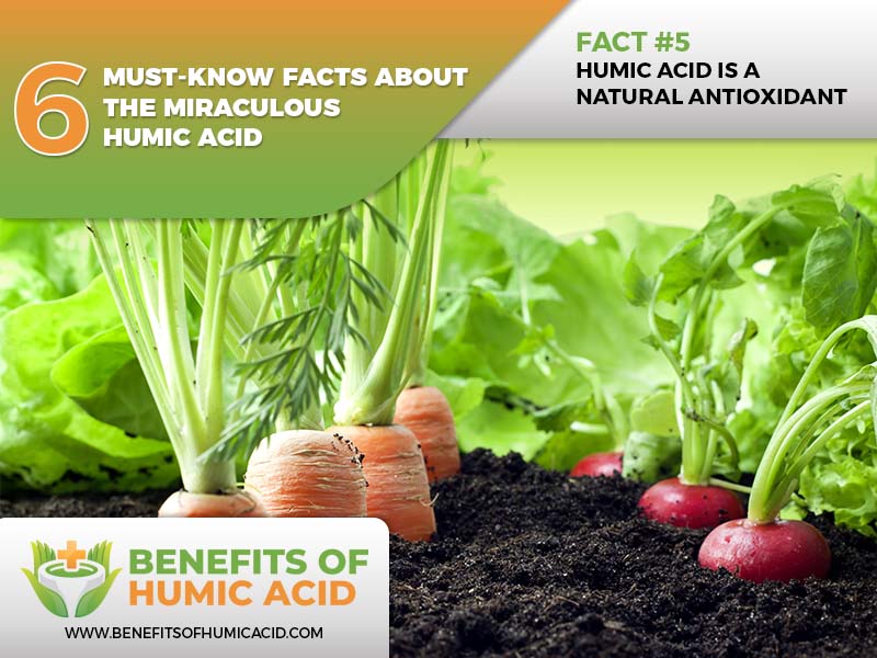 facts about humic acid