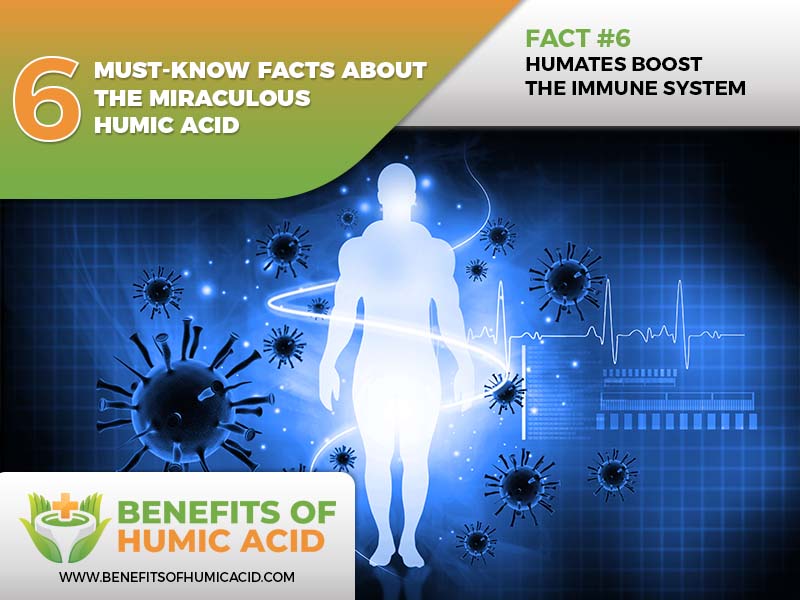  things to know about humic acid, humic acid must-know facts