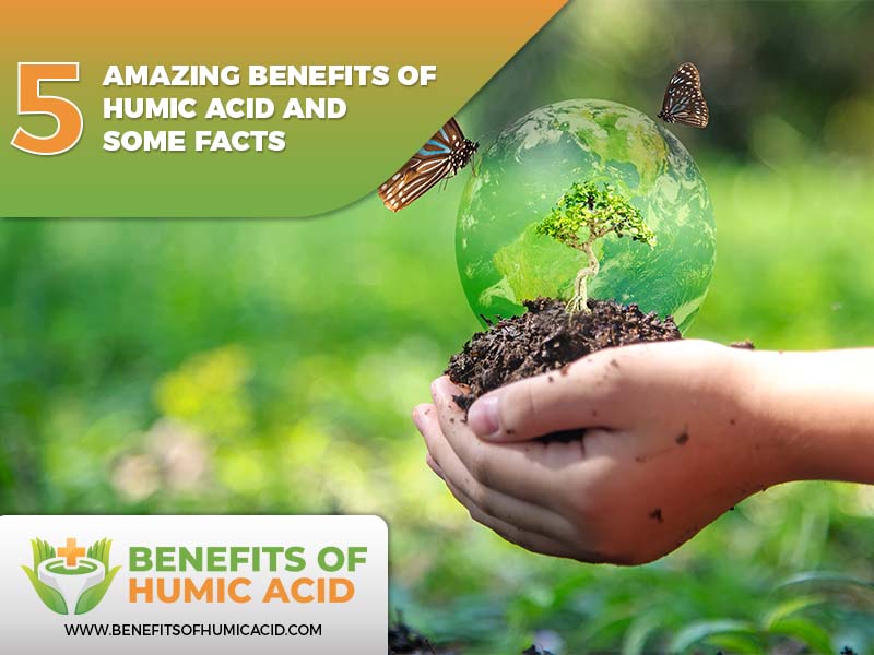  supplementing with humic acid