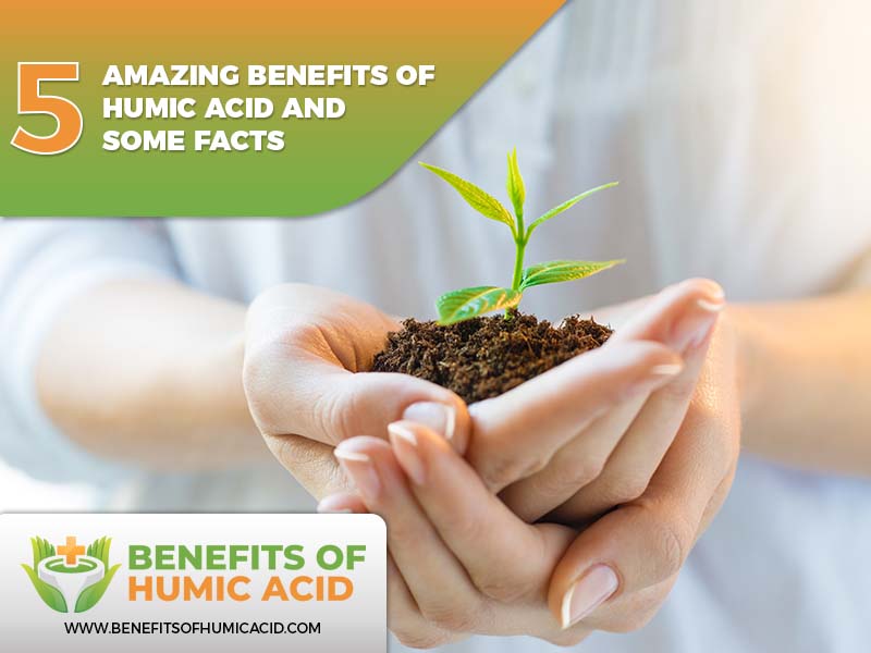  amazing advantages of using humic acid