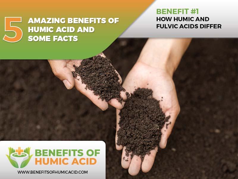  supplementing with humic acid
