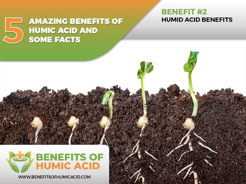 amazing benefits of humic acid