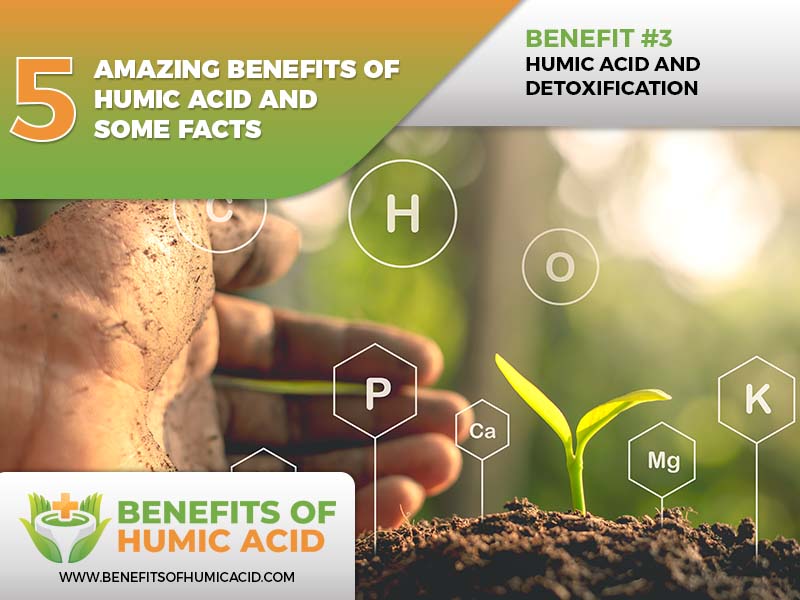  supplementing with humic acid