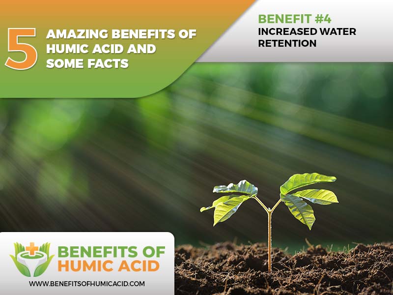  humic acid