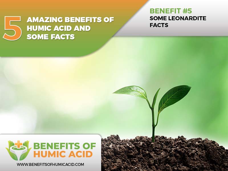  amazing advantages of using humic acid